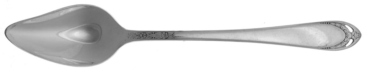 Lovelace (Silverplate) Fruit/Orange Spoon by International Silver-1