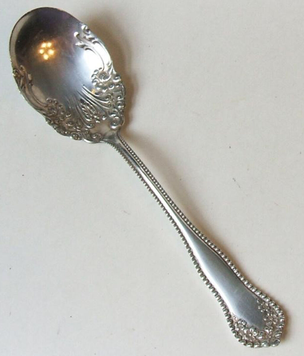 Mayflower (Silverplate, 1901-1896) Large Jelly Spoon by International Silver-1