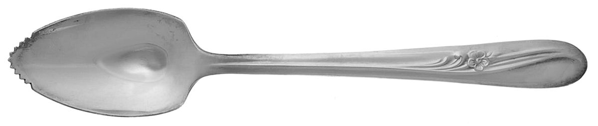 Meadow Flower (Silverplate, 1940) Fruit/Orange Spoon by International Silver-1