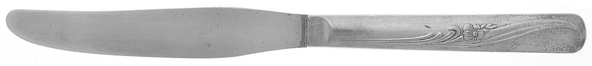 Meadow Flower (Silverplate, 1940) Modern Solid Knife by International Silver-1