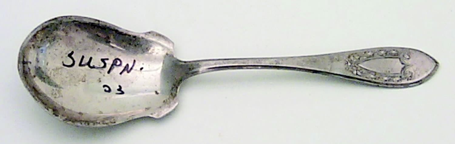 Napoleon (Sterling, 1910, No Monograms) Sugar Spoon by International Silver-1