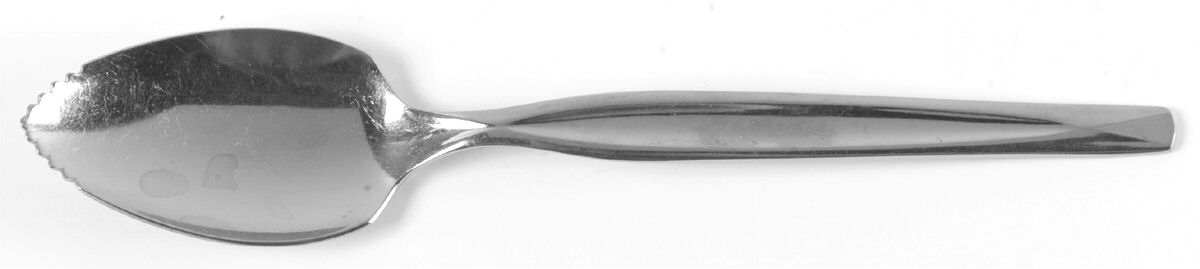 Nassau (Stainless) Fruit/Orange Spoon by International Silver-1