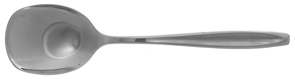 New Dawn (Stainless) Sugar Spoon by International Silver-1
