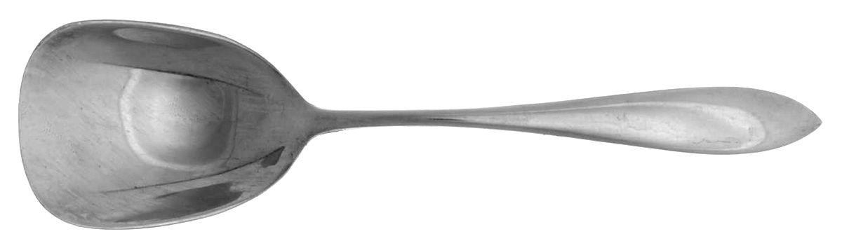 Patria (Sterling, 1918) Sugar Spoon by International Silver-1