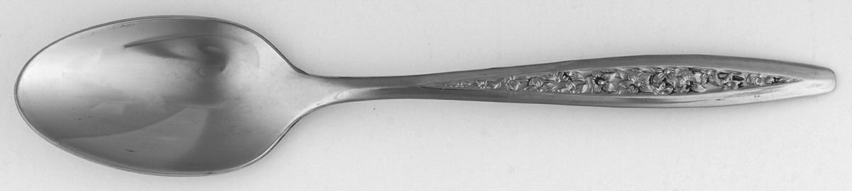 Petal Lane (Stainless) Teaspoon by International Silver-1