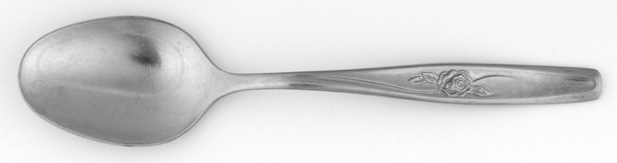 Random Rose (Stainless) Teaspoon by International Silver-1