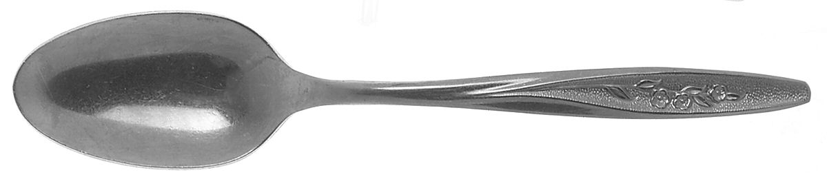 Radiant Rose (Stainless) Teaspoon by International Silver-1
