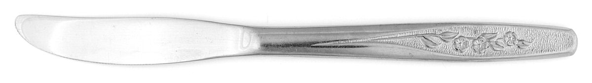 Radiant Rose (Stainless) Modern Solid Knife by International Silver-1