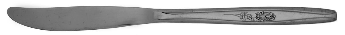 Rosebud (Stainless) Modern Solid Knife by International Silver-1