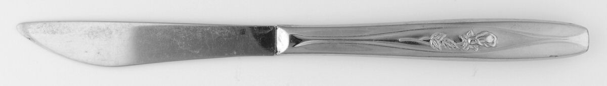 Rosebud (Stainless) Modern Hollow Knife by International Silver-1