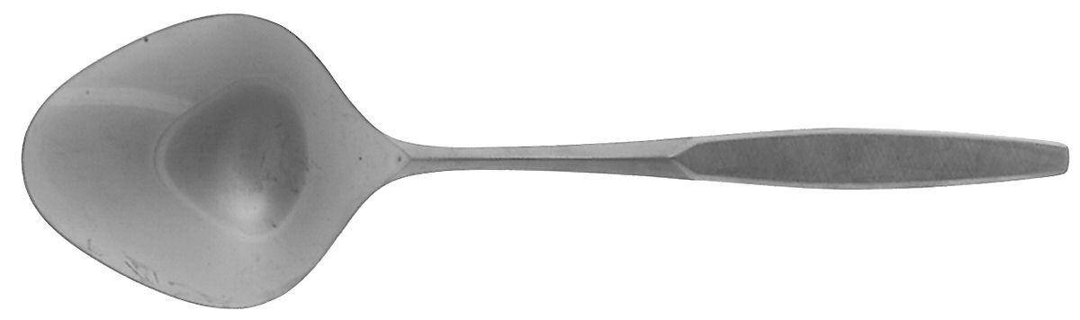 Saturna (Stainless) Solid Smooth Casserole Spoon by International Silver-1