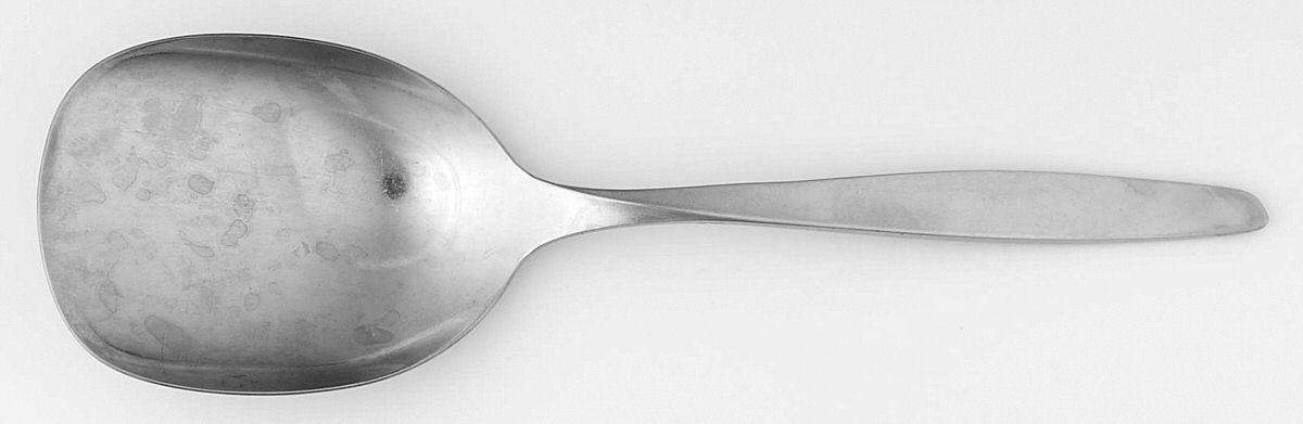 Scope (Stainless, Luxury Line) Solid Smooth Casserole Spoon by International Silver-1