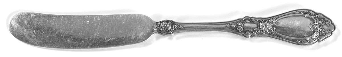 Sharon (Silverplate, 1910) Flat Handle Butter Spreader by International Silver-1