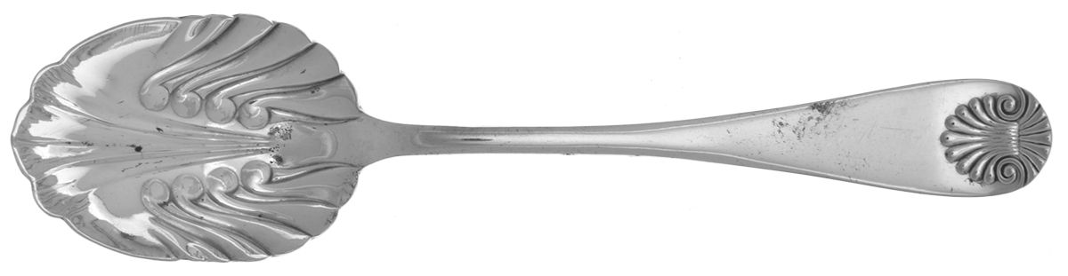 Shell (Silverplate, 1894) Sugar Spoon by International Silver-1