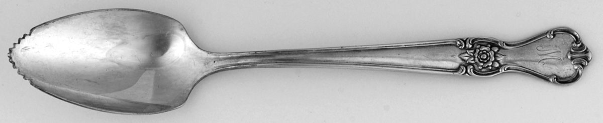Signature (Silverplate, 1960) Fruit/Orange Spoon by International Silver-1