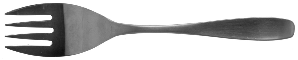 Sophisticate (Stainless, Satin Handle) Large Solid Cold Meat Serving Fork by International Silver-1