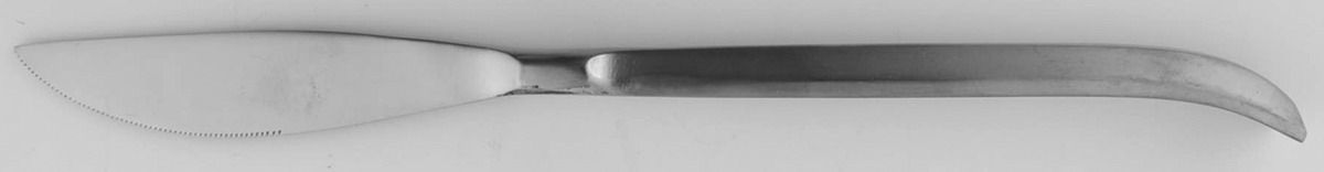 Sophisticate (Stainless, Decorator) Modern Solid Knife by International Silver-1