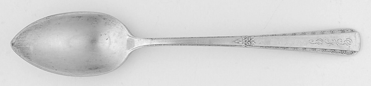 Spring Bouquet (Sterling, 1940) Fruit/Orange Spoon by International Silver-1