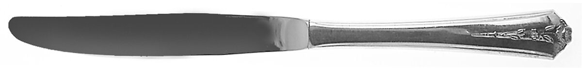 Spring Garden (Silverplate, 1949) Modern Hollow Knife by International Silver-1