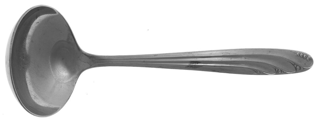 Spring Lily (Stainless) Solid Gravy Ladle by International Silver-1