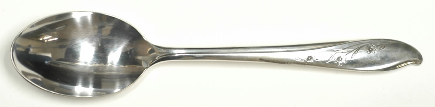 Springtime (Silverplate, 1957) Teaspoon by International Silver-1