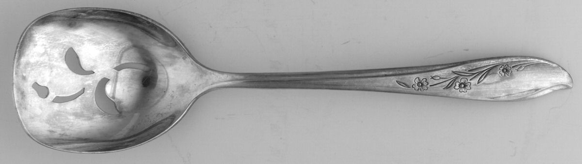 Springtime (Silverplate, 1957) Large Sugar Sifter by International Silver-1