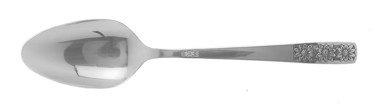 Suncrest-Spring Charm (Stainless) Tablespoon (Serving Spoon) by International Silver-1