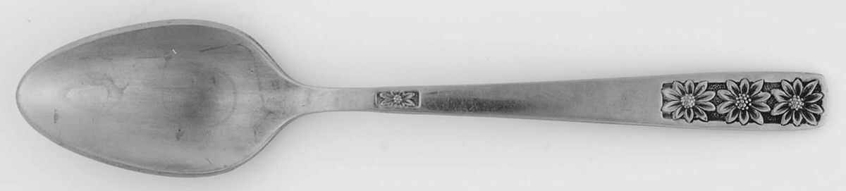 Suncrest-Spring Charm (Stainless) Teaspoon by International Silver-1