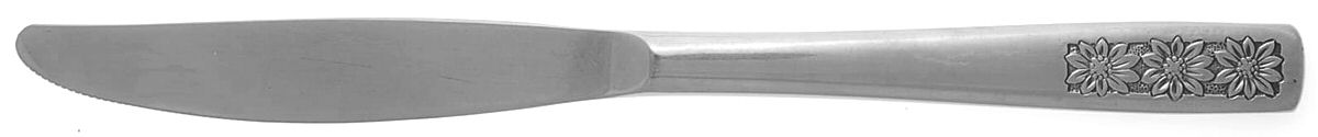 Suncrest-Spring Charm (Stainless) Modern Solid Knife by International Silver-1