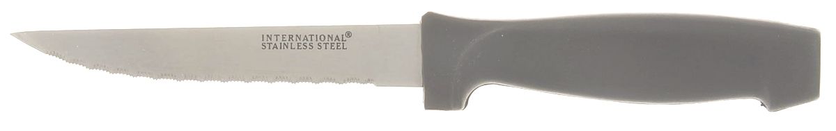 Symmetry-Freemont(Stainless) Plastic Handle Individual Steak Knife by International Silver-1