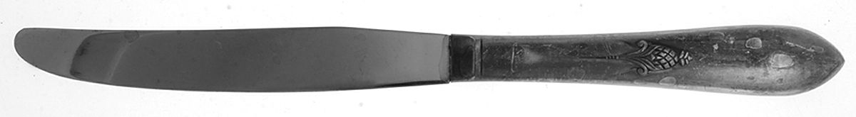 Tapestry (Silverplate, 1940) Modern Hollow Knife by International Silver-1