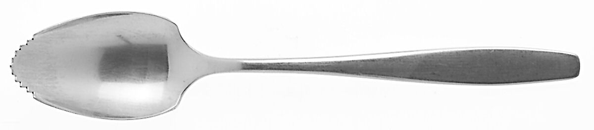 Today (Stainless) Fruit/Orange Spoon by International Silver-1