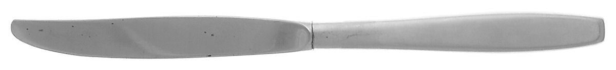 Today (Stainless) Hollow Handle Youth Knife by International Silver-1