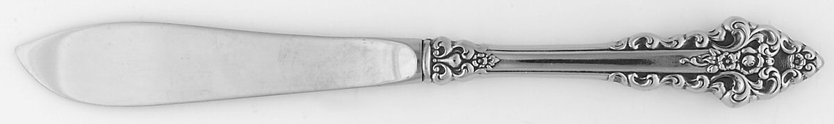 Trevi (Stainless) Hollow Handle Master Butter Knife by International Silver-1