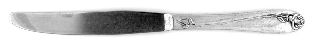 Tupperware Rose (Silverplate, 1955) Modern Hollow Knife by International Silver-1
