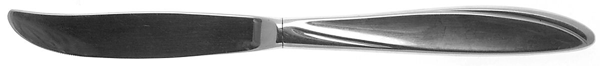 Ventura (Stainless) Modern Hollow Knife by International Silver-1