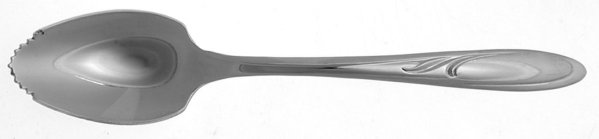Vibrant (Stainless) Fruit/Orange Spoon by International Silver-1