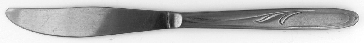 Vibrant (Stainless) Modern Solid Knife by International Silver-1