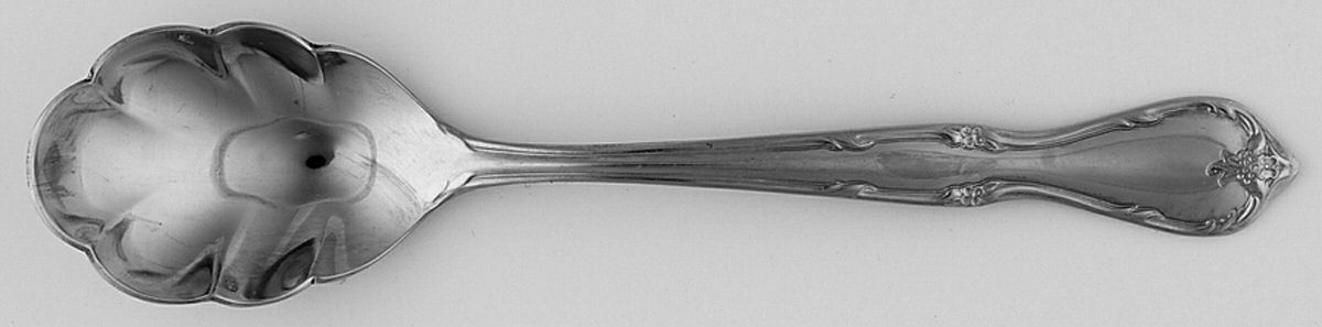 Victorian Charm (Stainless) Sugar Shell Spoon by International Silver-1