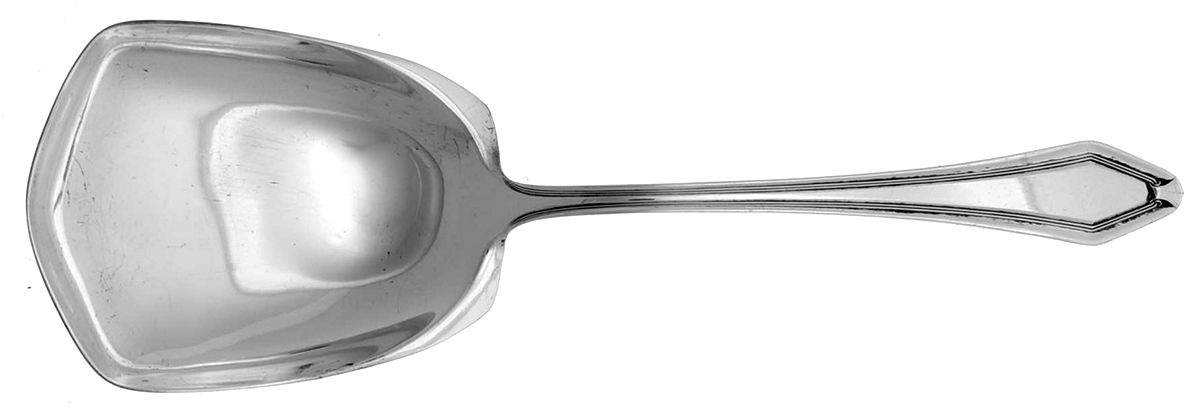 Wadsworth (Silverplate, 1916) Solid Smooth Casserole Spoon by International Silver-1