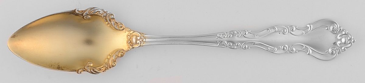Warwick (Sterling, 1898) Fruit/Orange Spoon by International Silver-1