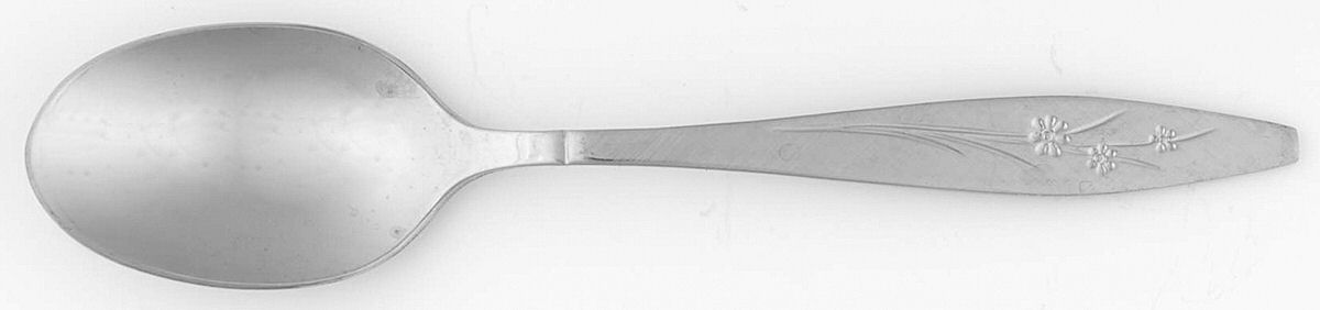 Windflower (Stainless) Teaspoon by International Silver-1