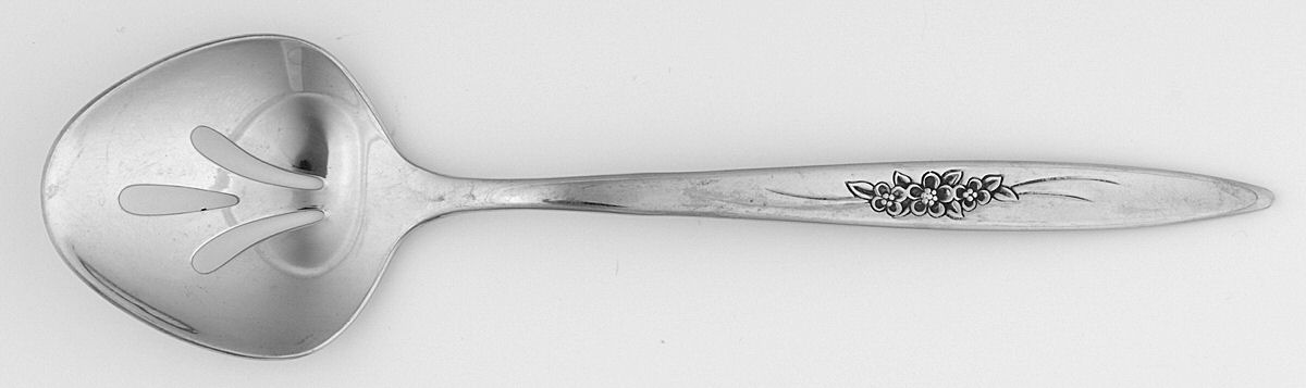 Windflower (Stainless) Large Sugar Sifter by International Silver-1