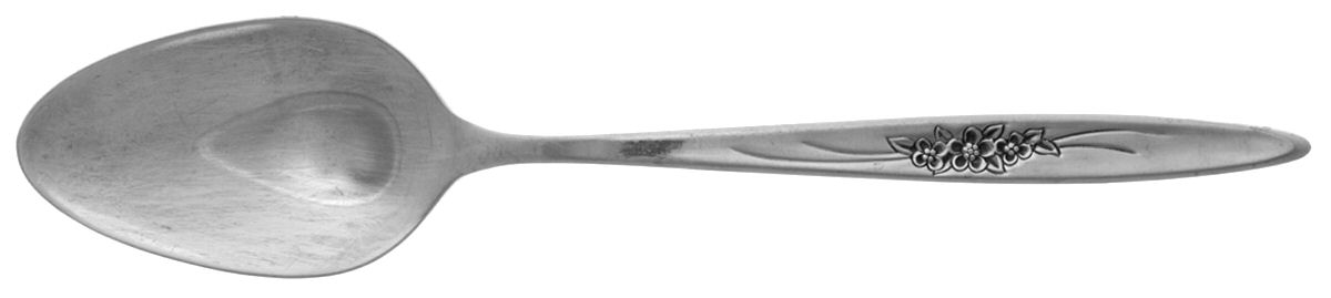 Windflower (Stainless) Teaspoon by International Silver-1