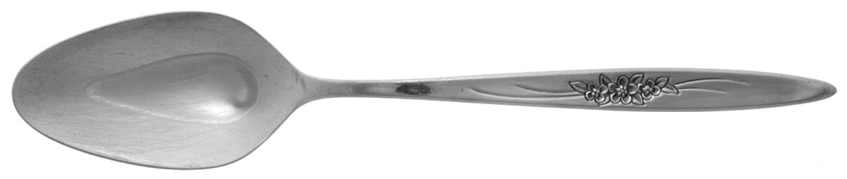 Windflower (Stainless) Place/Oval Soup Spoon by International Silver-1