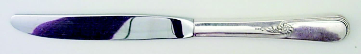 Youth (Silverplate, 1940) Modern Hollow Knife by International Silver-1