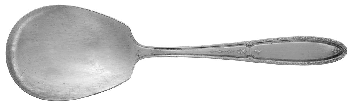 ISA1 (SLVPLT) Solid Smooth Casserole Spoon by Isabella-1