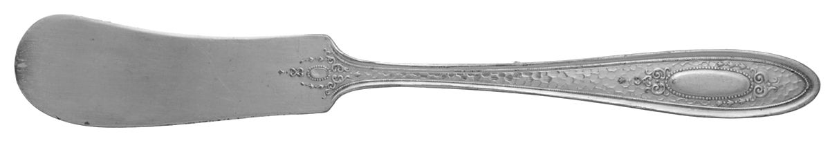 Vassar Flat Handle Butter Spreader by International Silver-1