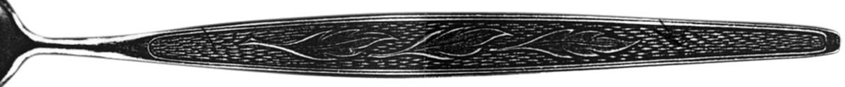 INS236 (Stainless) Fork by International Silver-1