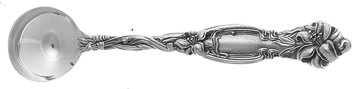 Frontenac (Sterling, Newer) Master Salt Spoon by International Silver-1